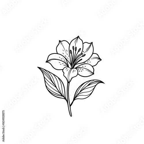 Outline alstroemeria flower vector icon