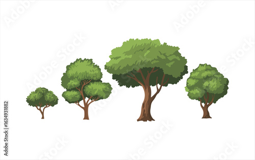 Various tree vectors. Forest and nature concept. Collection of different tree symbols. Education and training poster design. Vector drawn for plant and tree presentation.