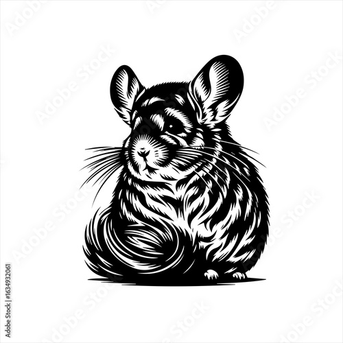 Black and White Chinchilla Vector Illustration.