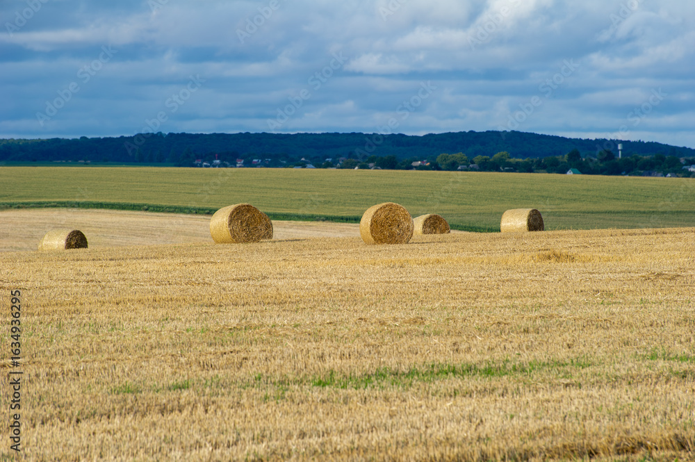 Fototapeta premium Golden hay bales rest across a patchwork field under a softly clouded sky.