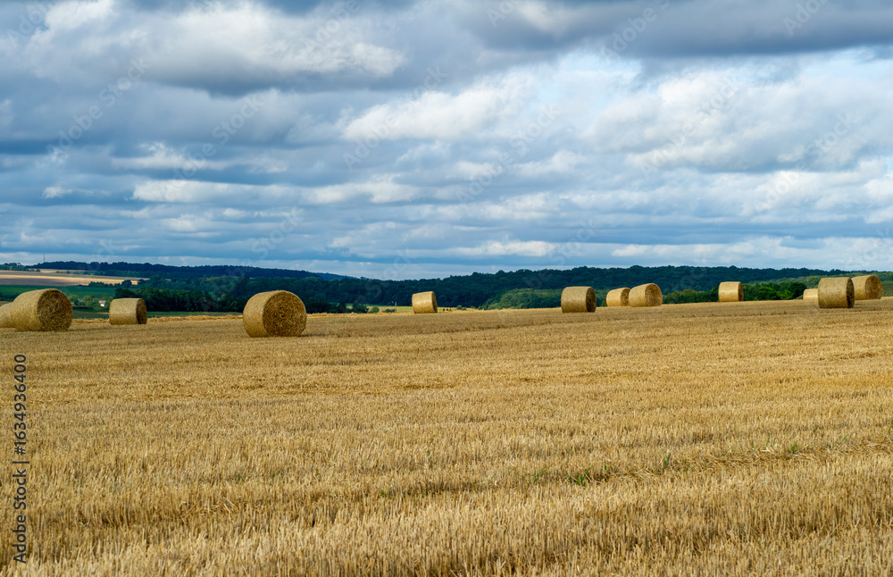 Fototapeta premium Golden hay bales rest across a patchwork field under a softly clouded sky.