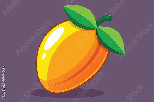 vector illustration of an orange fruit