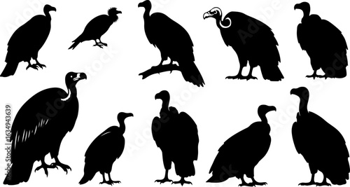 Vulture Silhouette Collection: Majestic and Dynamic Poses