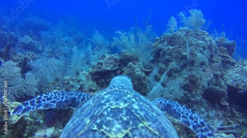 naufragio em alto mar
