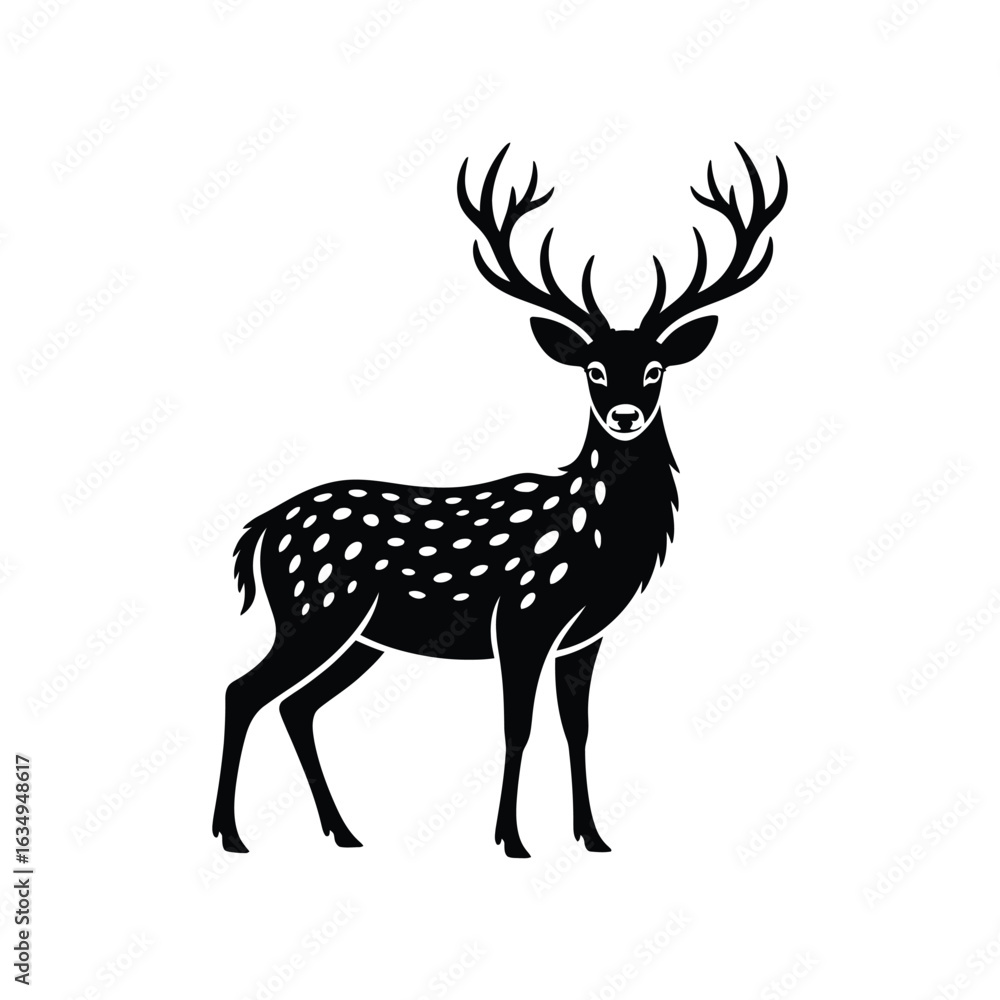 Fototapeta premium Fawn or Reindeer vector with Antlers - Black and White 
