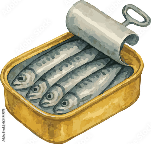 Vector realistic watercolor illustration of canned sardines open