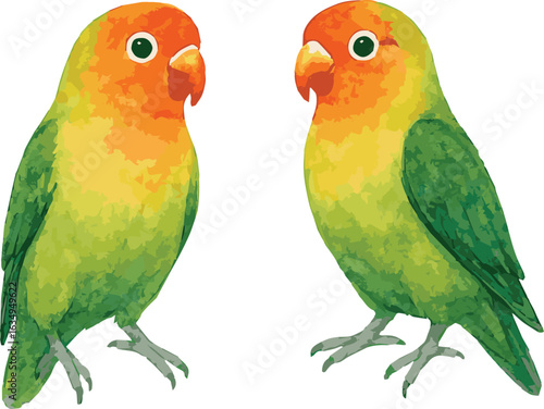 Vector adorable watercolor illustration of a pair of lovebirds