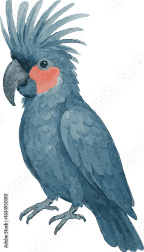 Vector adorable watercolor illustration of a palm cockattoo parrot