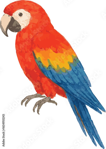 Vector adorable watercolor illustration of a scarlet macaw ara parrot