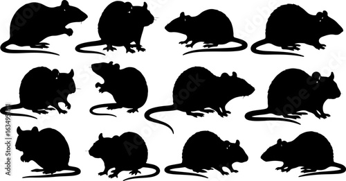 Rat Silhouette Collection: Dynamic Rodent Poses