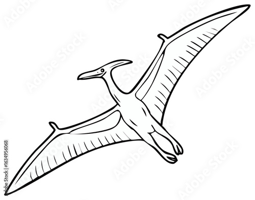 Prehistoric flying Pterodactyl dinosaur cartoon outline drawing for coloring book or education