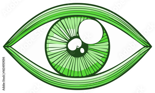 Stylized Green Human Eye Illustration Vision and Sight with Sclera Iris and Pupil