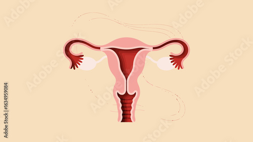 Female Reproductive System Illustration Featuring Uterus Fallopian Tubes and Ovaries in Pink and Red Tones Depicting Anatomy and Healthcare