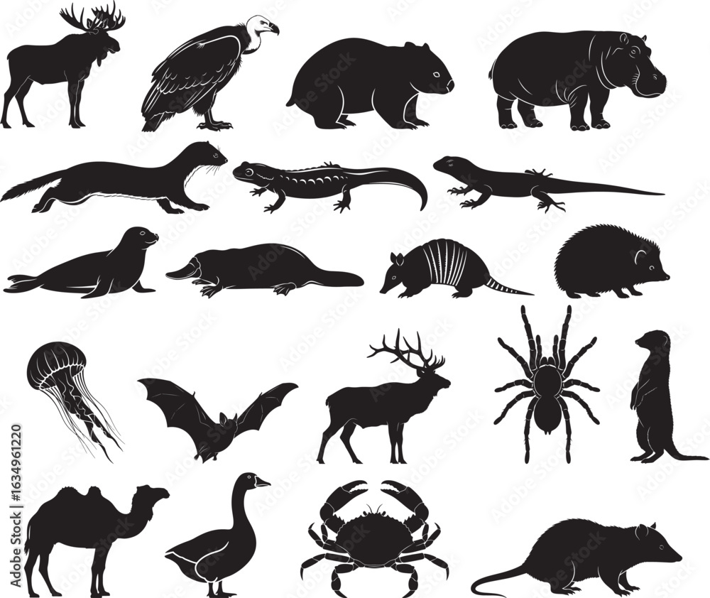Fototapeta premium Large Collection of Diverse Animal Silhouettes