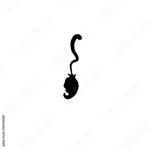 Halloween Broom Silhouette