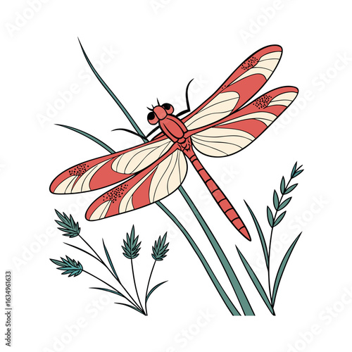 Flame skimmer vector on white background.02