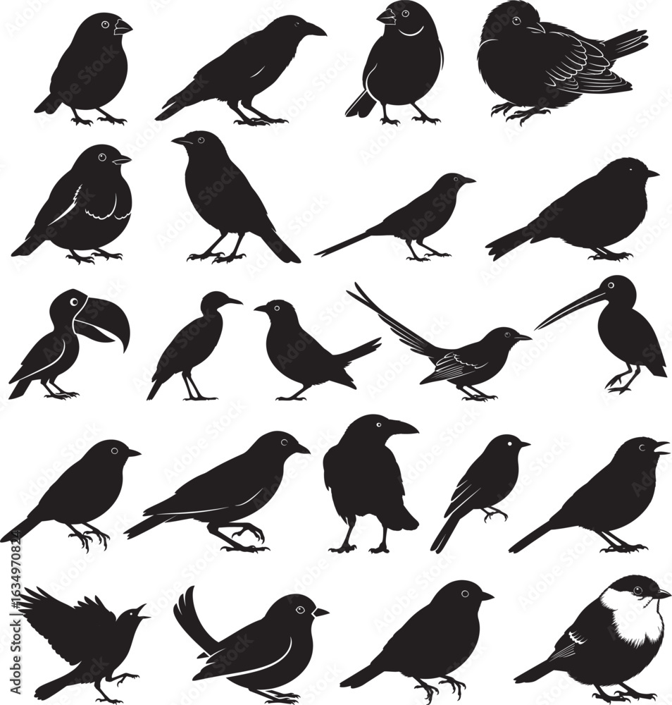 Fototapeta premium Bird Silhouettes Vector Icon Set. Collection of Various Isolated Birds Graphic