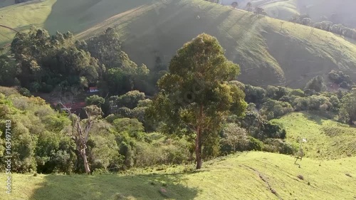paisagem verde