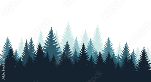 Vast evergreen forest landscape under a clear sky with silhouettes of tall pine trees