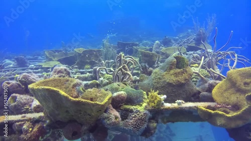 naufragio em alto mar