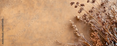 Dried natural plant arrangement on textured brown background with copy space