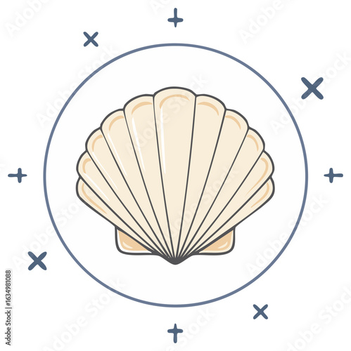 Stylized illustration of a cream-colored scallop shell enclosed in a blue circle with decorative cross symbols.