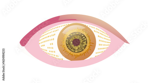Eye health vision care ophthalmology concept for visual acuity and eye examination and treatment options