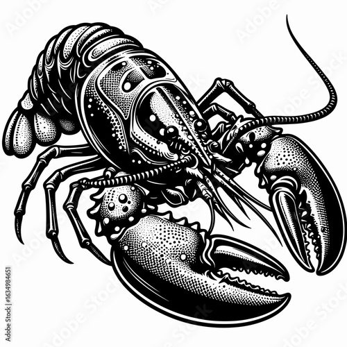 Fresh Atlantic Lobster