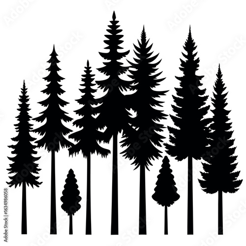 Pine Tree Silhouette – Detailed Evergreen Conifer Vector | Natural Forest Tree Clipart for Nature & Winter Designs