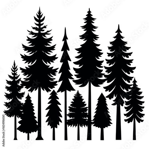 Pine Tree Silhouette – Detailed Evergreen Conifer Vector | Natural Forest Tree Clipart for Nature & Winter Designs