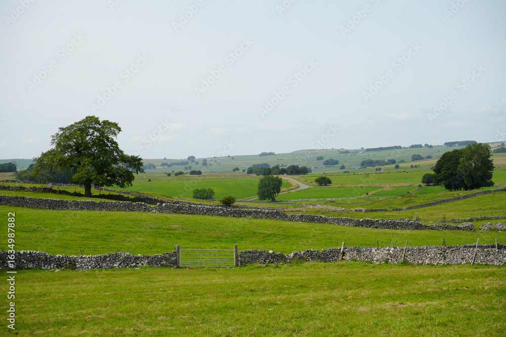 Fototapeta premium Magpie Mine, The Peak District, England – August 6 2025: Rolling green fields and dry stone walls in summer light at Magpie Mine in the Peak District, England.