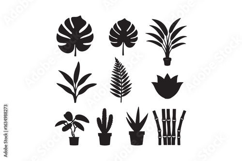 Collection of black silhouette potted houseplants and tropical leaves