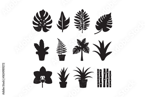 Collection of silhouetted tropical and houseplant leaves and plants