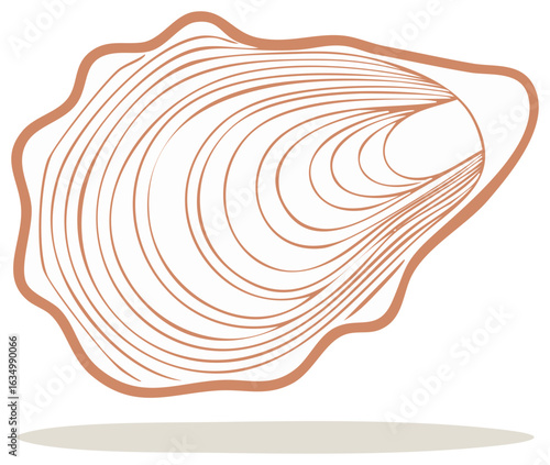 Elegant oyster shell graphic featuring shell lines and a distinctive outline