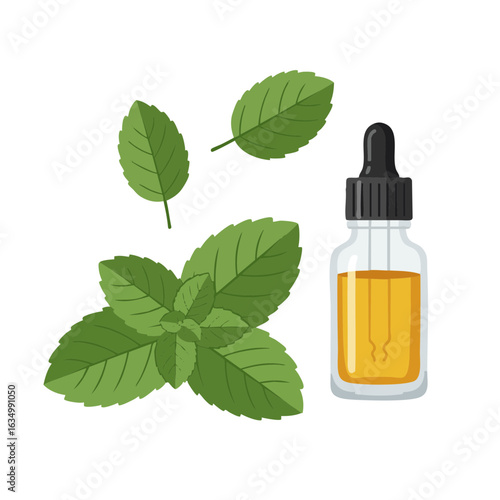 Vector illustration of mint leaves and essential oil natural style on white background