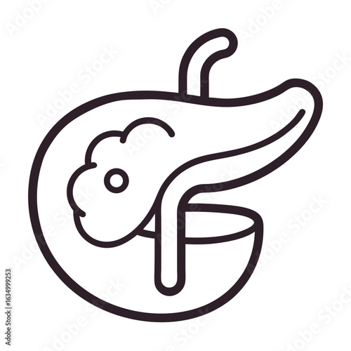 Pancreas organ with duct and gallbladder anatomy medical
