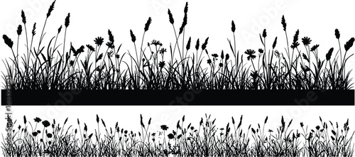Wild Grass and Meadow Silhouettes. Vector Illustration of Nature, Plants, and Flowers. Black Silhouettes of Grass Borders, Meadow, Field, Herbs, and Weeds Isolated on a White Background.