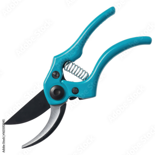 Blue Garden Pruning Shears Isolated on White
