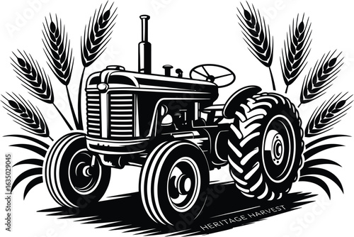Vintage Tractor in wheat field: A classic vintage tractor is illustrated against a backdrop of wheat. A symbol of the harvest.