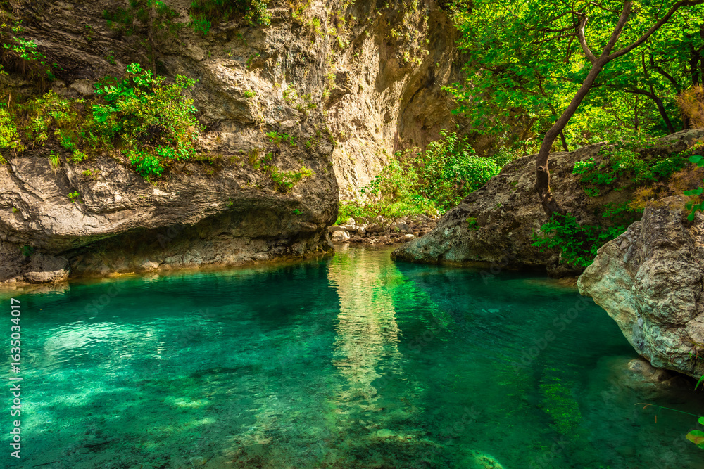 Naklejka premium Crystal clear waters of natural springs and lake in the woods of the Mount Olympus, Greece