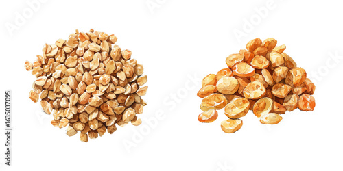 granola watercolor vector illustration