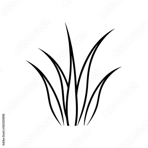 Simple grass drawing on transparent background