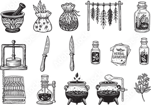 Vector art of collection of vintage herbal medicine and apothecary tools including mortar, pestle, bottles, and plants