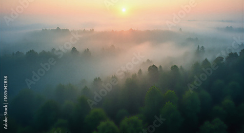 Misty forest landscape with gentle morning mist hovering over lush green trees, creating an ethereal vibe. Soft diffused light from sunrise filters through the fog, casting subtle gradients of warm pi