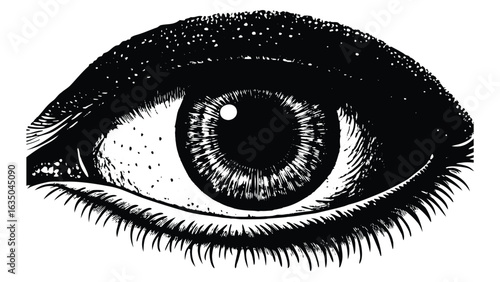 Detailed monochrome illustration of a human eye with eyelashes and eyebrow in black and white style
