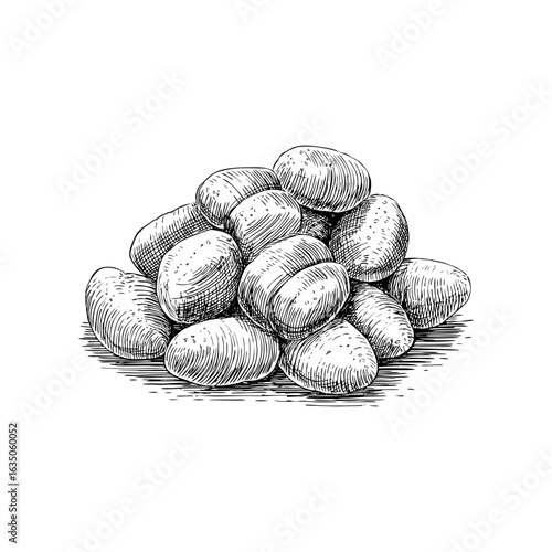 Engraving style illustration of uncooked gnocchi or dumplings in black and white on transparent background – Vector for pasta packaging, traditional recipe guides, and artisan food branding
