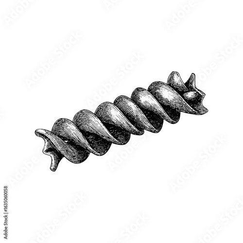 Engraving style illustration of single fusilli pasta twist in black and white on transparent background – Culinary element for recipe illustrations, Italian food infographics, and pasta product