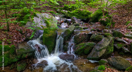 picturesque forest landscape in mountains. small stream flowing over green moss covered rocks