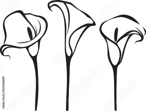 Wallpaper Mural Calla Lily Flowers – Line Art Vector Illustration Torontodigital.ca