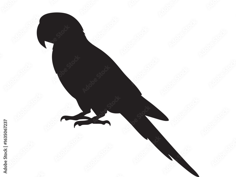 Obraz premium Black silhouette of a macaw parrot perched, isolated on white background. concept of exotic bird, wildlife, tropical fauna, icon, logo, design element, aviary art